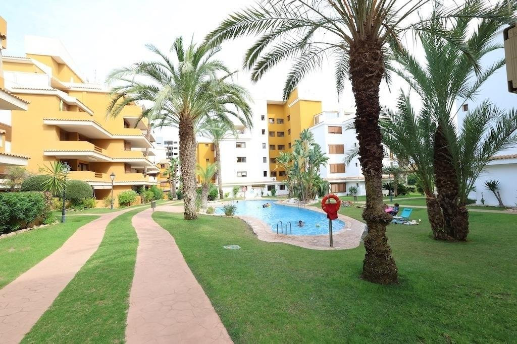 Apartment in Torrevieja - view 1