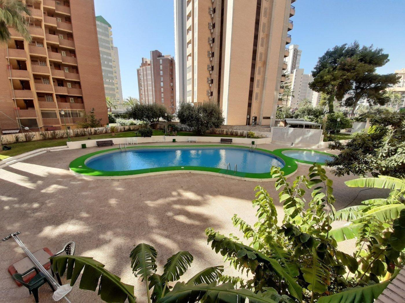 Apartment in Benidorm - view 1