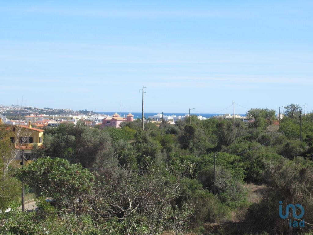 Land in Pedreira - view 1