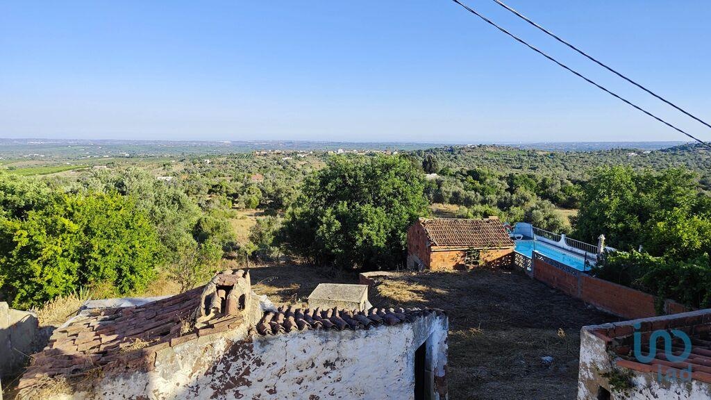 Land in Pedreira - view 1