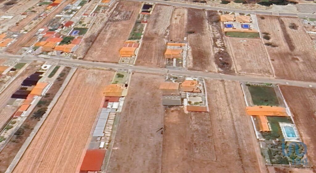 Land in Pedricosa - view 1