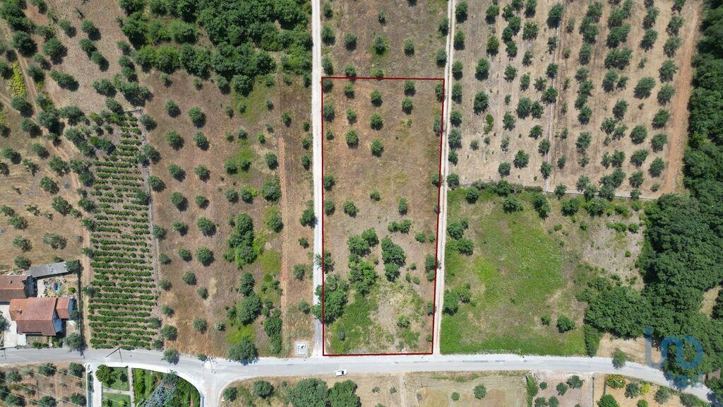 Land in Ansiao - view 1