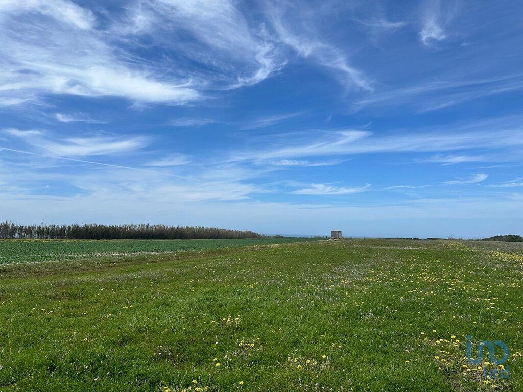 Land in Peniche - view 1