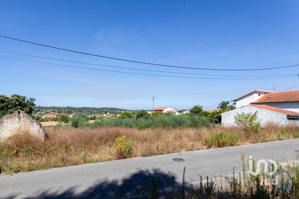 Land in Mealhada - view 1