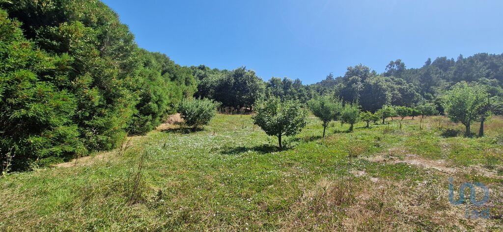 Land in Paz - view 1