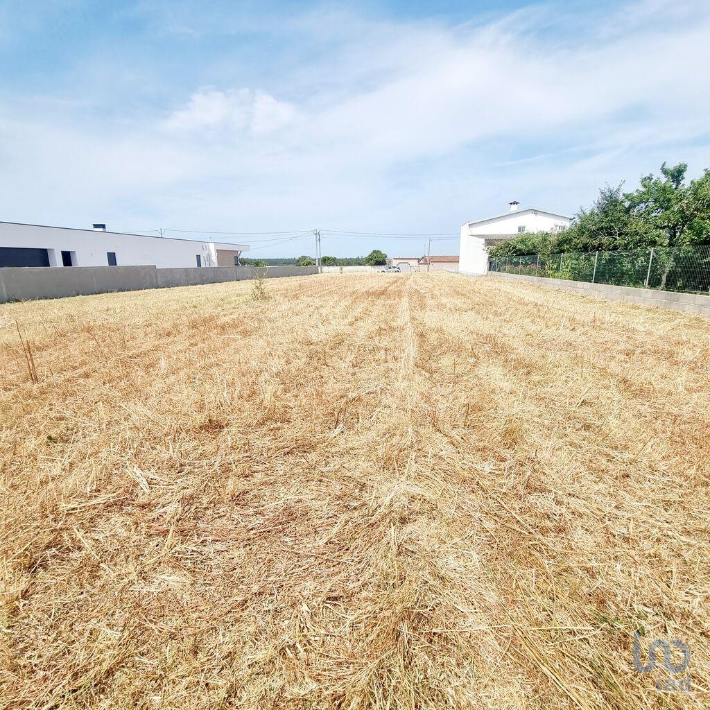 Land in Leiria - view 1