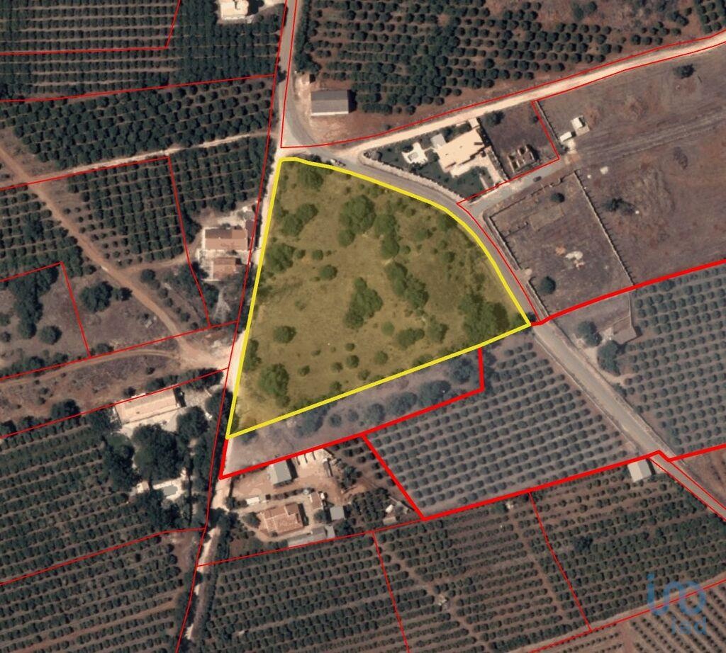 Land in Pedreira - view 1