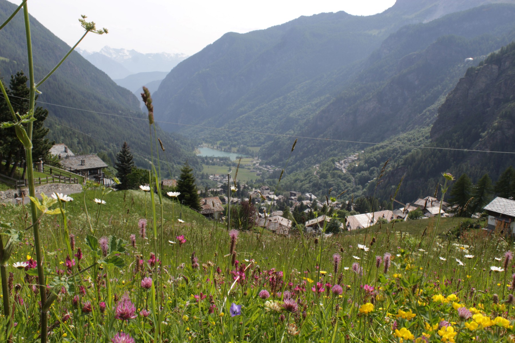 Apartment in Aosta - view 1