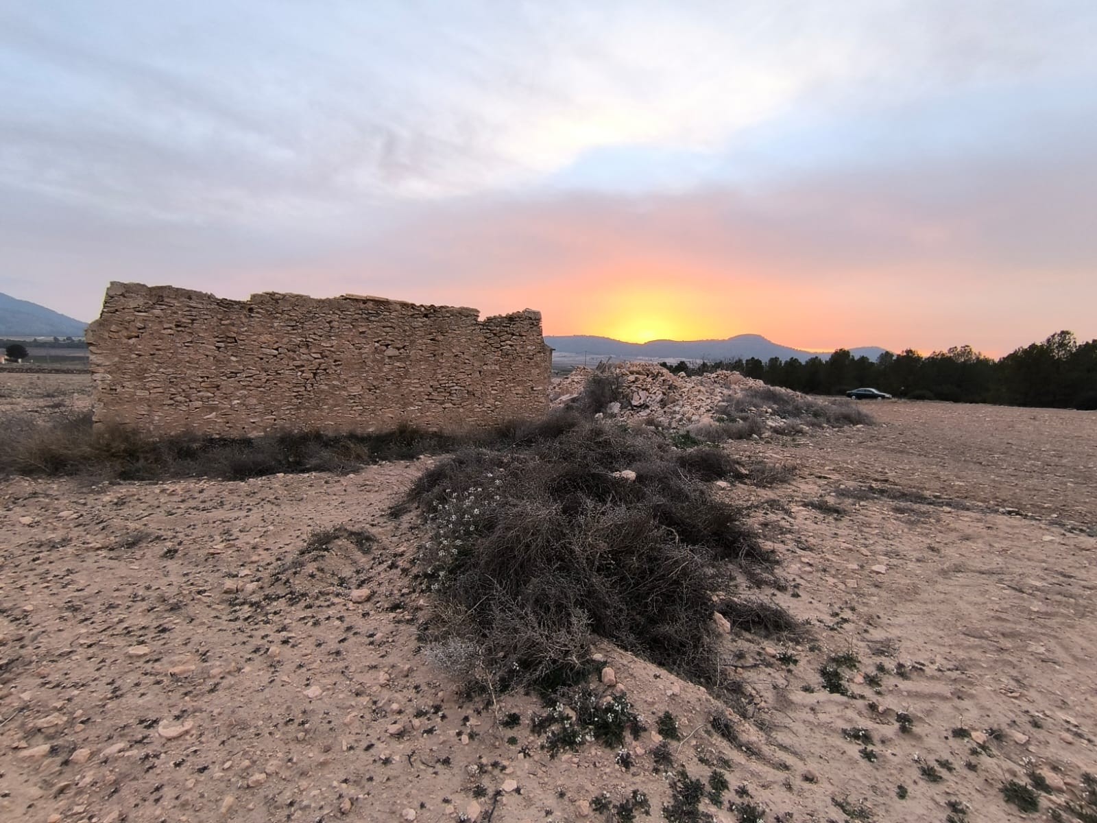 Land in Yecla - view 1